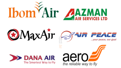 Air Peace Ibom Air Max Air Aero Contractors Dana And Azman 768x447