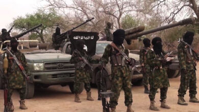 Boko Haram Insurgents