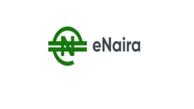 E Naira Logo