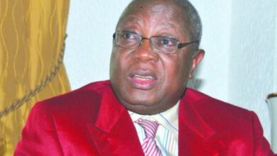 Former Finance Minister Anthony Ani Says The Cbn And Commercial Banks Are Killing The Naira 630x381 1