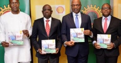 Shell targets equivalent of 2,400MW electricity from new gas supply project Shell targets equivalent of 2,400MW electricity from new gas supply project