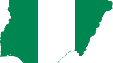 Nigeria Flag Map